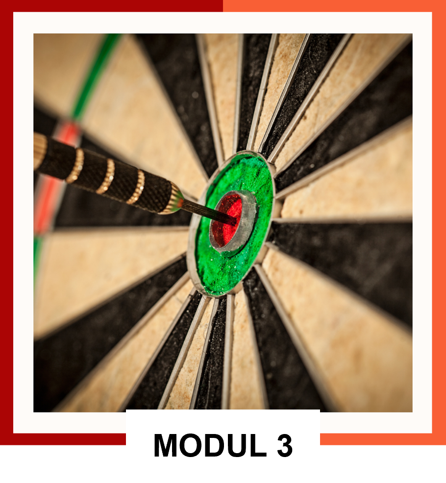Modul 3 OKR Booster